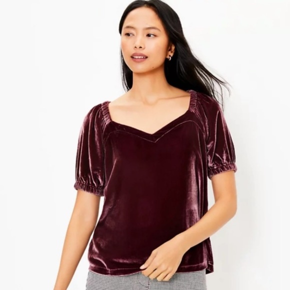 {NOT FOR SALE} NWT LOFT Velvet Puff Sleeve Top Bordeaux Size S - Picture 1 of 10